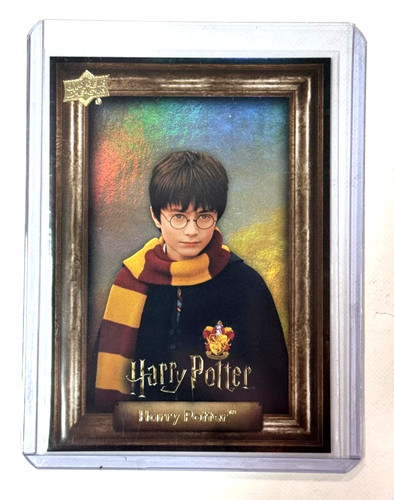 Harry potter rainbow - harry,