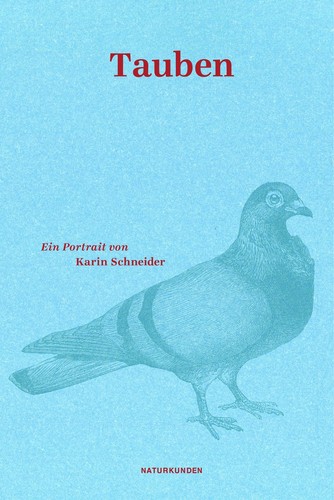 Tauben ein portrait - tauben,