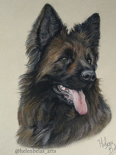 Handgemaltes tierportrait - handgemaltes,