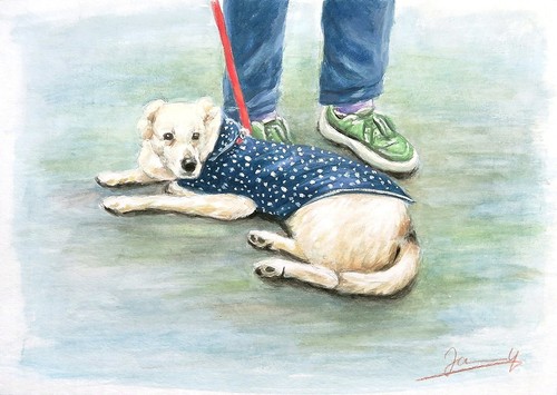 Original gouache gemälde hund - gouache,