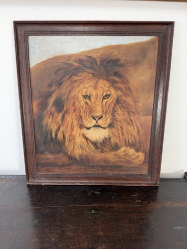 Antikes tierportrait - antikes,