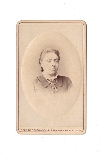 Cdv foto damenportrait - foto,