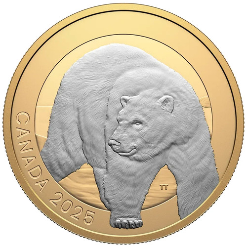 Silbermünze polarbär - silbermünze,