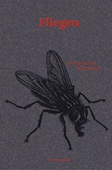 Fliegen ein portrait - fliegen:,