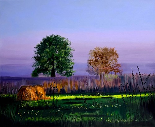 Lavendel himmel baum heu - lavendel,
